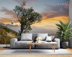 Ryno Botha, Canvas, large, print, art, serene, tranquil, minimal, trees, fern, sunset, Protea, South Africa, Cape Town, wallpaper
