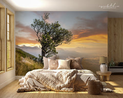 Ryno Botha, Canvas, large, print, art, serene, tranquil, minimal, trees, fern, sunset, Protea, South Africa, Cape Town, wallpaper