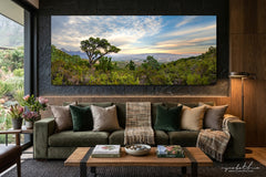 Ryno Botha, Canvas, large, print, art, wood Frame, acrylic, perspex, serene, tranquil, minimal, trees, fern, sunset, Protea, South Africa, Cape Town 