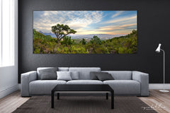 Ryno Botha, Canvas, large, print, art, wood Frame, acrylic, perspex, serene, tranquil, minimal, trees, fern, sunset, Protea, South Africa, Cape Town 