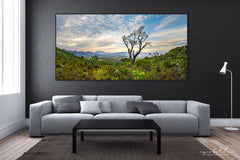 Ryno Botha, Canvas, large, print, art, wood Frame, acrylic, perspex, serene, tranquil, minimal, trees, fern, sunset, Protea, South Africa, Cape 