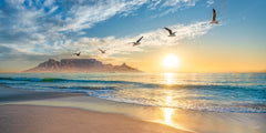 Ryno Botha, Table Mountain, Photo, Cape Town, Decor, wall art, Canvas, large, print, art, seascape, sunset, ocean, beach, wood Frame, acrylic, perspex, collection