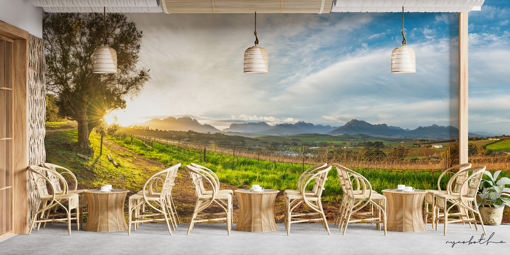Ryno Botha, wallpaper, large, print, art, fynbos, vineyard, landscape, sunrise, Cape Town, South Africa. 