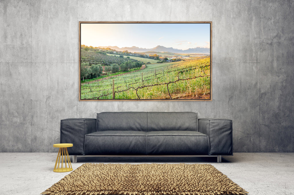 Ryno Botha, Canvas, large, print, art, sunset, wood Frame, acrylic glass, perspex, vineyard, grapes, harvest, mist, fog, rows